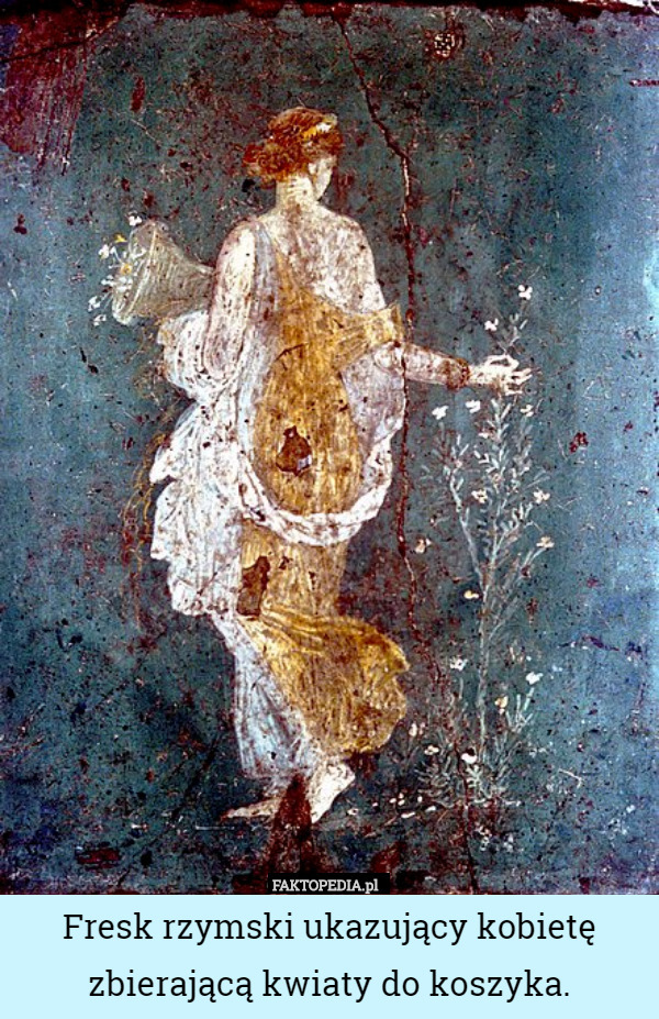 Fresk rzymski ukazujący kobietę zbierającą kwiaty do koszyka. 