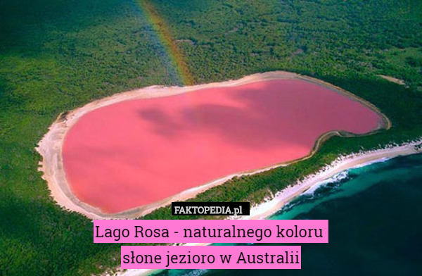 Lago Rosa - naturalnego koloru 
słone jezioro w Australii 