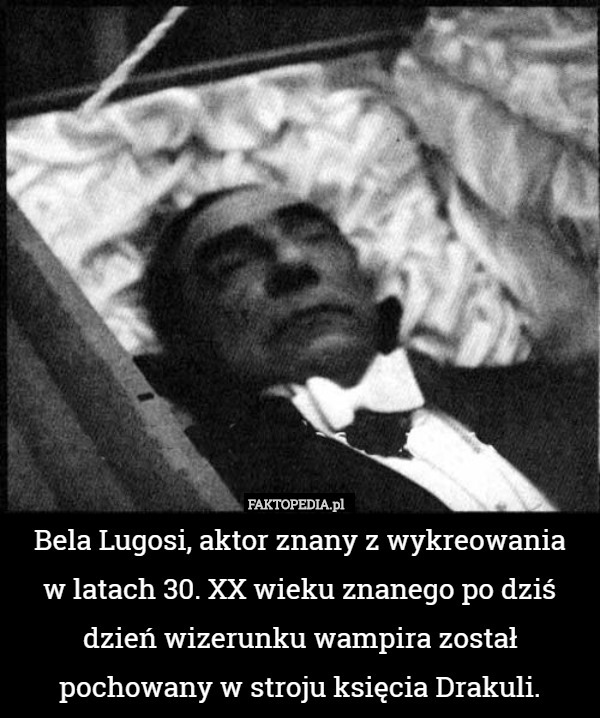 Bela Lugosi, aktor znany z wykreowania
w latach 30. XX wieku znanego po dziś dzień wizerunku wampira został pochowany w stroju księcia Drakuli. 