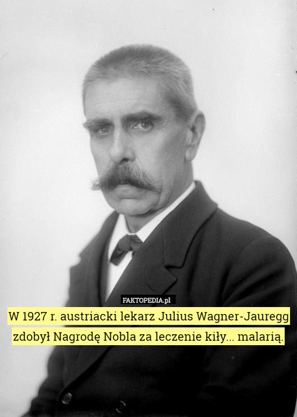 W 1927 r. austriacki lekarz Julius Wagner-Jauregg zdobył Nagrodę Nobla za leczenie kiły... malarią. 