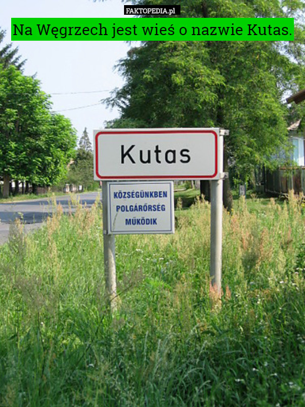 Na Węgrzech jest wieś o nazwie Kutas. 