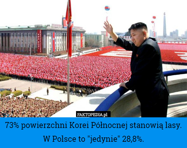 73% powierzchni Korei Północnej stanowią lasy. W Polsce to "jedynie" 28,8%. 