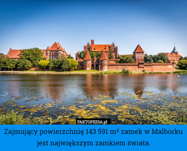 Zajmujący powierzchnię 143 591 m² zamek w Malborku jest największym zamkiem świata. 