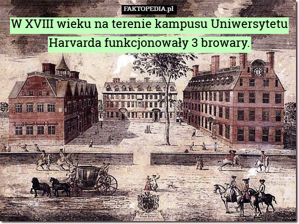 W XVIII wieku na terenie kampusu Uniwersytetu Harvarda funkcjonowały 3 browary. 