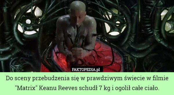 Do sceny przebudzenia się w prawdziwym świecie w filmie "Matrix" Keanu Reeves schudł 7 kg i ogolił całe ciało. 