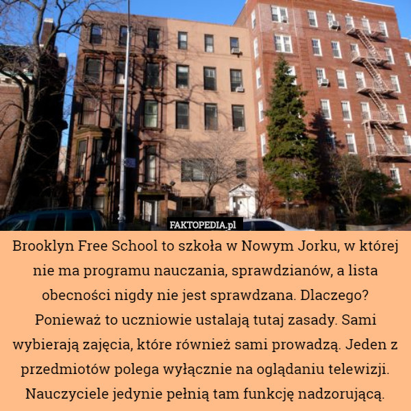 Brooklyn Free School to szkoła w Nowym Jorku, w której nie ma programu nauczania, sprawdzianów, a lista obecności nigdy nie jest sprawdzana. Dlaczego? Ponieważ to uczniowie ustalają tutaj zasady. Sami wybierają zajęcia, które również sami prowadzą. Jeden z przedmiotów polega wyłącznie na oglądaniu telewizji. Nauczyciele jedynie pełnią tam funkcję nadzorującą. 