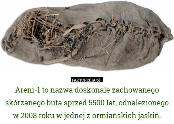 Areni-1 to nazwa doskonale zachowanego skórzanego buta sprzed 5500 lat, odnalezionego w 2008 roku w jednej z ormiańskich jaskiń. 