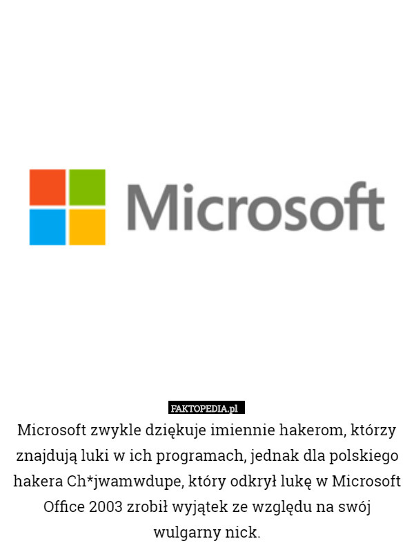 Microsoft zwykle dziękuje imiennie hakerom, którzy znajdują luki w ich programach, jednak dla polskiego hakera Ch*jwamwdupe, który odkrył lukę w Microsoft Office 2003 zrobił wyjątek ze względu na swój wulgarny nick. 