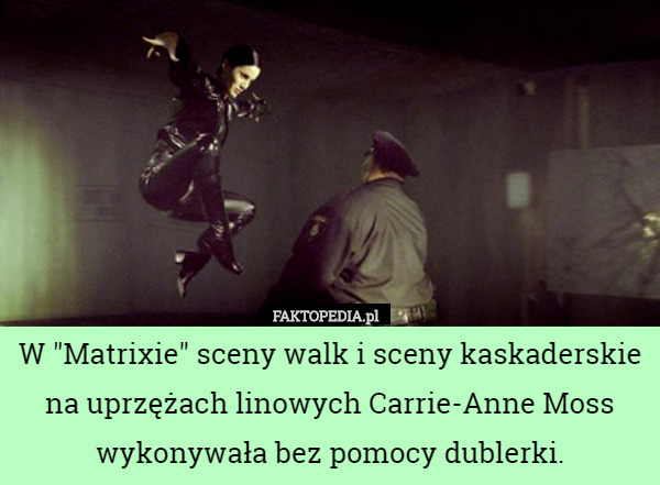 W "Matrixie" sceny walk i sceny kaskaderskie na uprzężach linowych Carrie-Anne Moss wykonywała bez pomocy dublerki. 