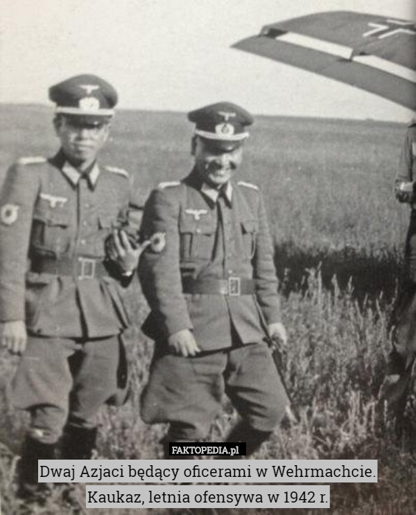 Dwaj Azjaci będący oficerami w Wehrmachcie.
Kaukaz, letnia ofensywa w 1942 r. 