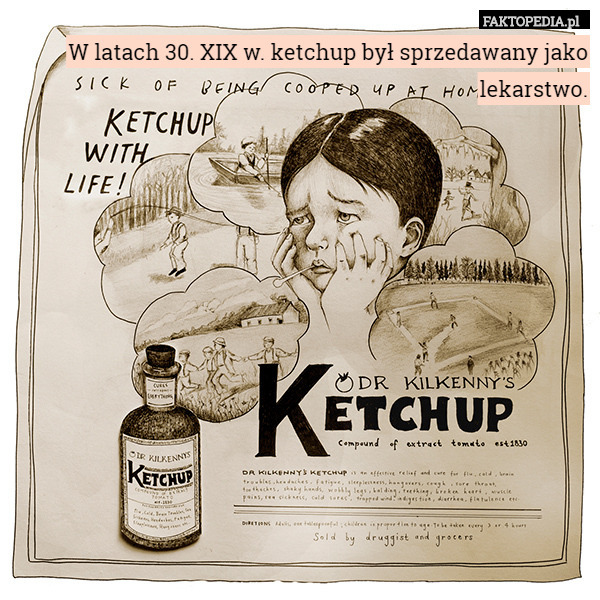 W latach 30. XIX w. ketchup był sprzedawany jako lekarstwo. 