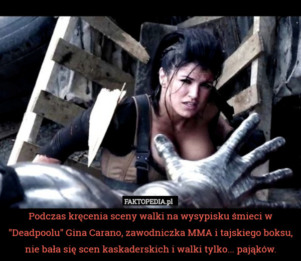 Podczas kręcenia sceny walki na wysypisku śmieci w "Deadpoolu" Gina Carano, zawodniczka MMA i tajskiego boksu, nie bała się scen kaskaderskich i walki tylko... pająków. 
