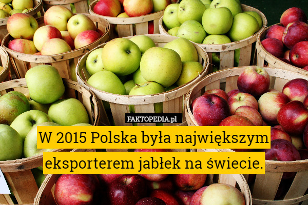 W 2015 Polska była największym eksporterem jabłek na świecie. 