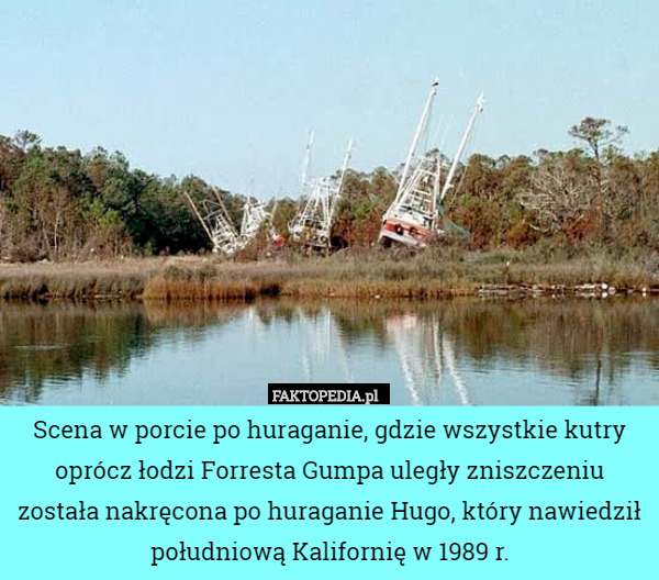 Scena w porcie po huraganie, gdzie wszystkie kutry oprócz łodzi Forresta Gumpa uległy zniszczeniu została nakręcona po huraganie Hugo, który nawiedził południową Kalifornię w 1989 r. 