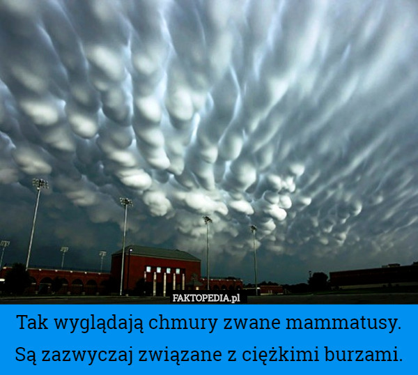 Tak wyglądają chmury zwane mammatusy. Są zazwyczaj związane z ciężkimi burzami. 
