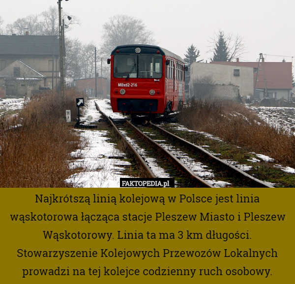 Najkrótszą linią kolejową w Polsce jest linia wąskotorowa łącząca stacje Pleszew Miasto i Pleszew Wąskotorowy. Linia ta ma 3 km długości. Stowarzyszenie Kolejowych Przewozów Lokalnych prowadzi na tej kolejce codzienny ruch osobowy. 