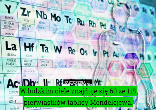 W ludzkim ciele znajduje się 60 ze 118 pierwiastków tablicy Mendelejewa. 