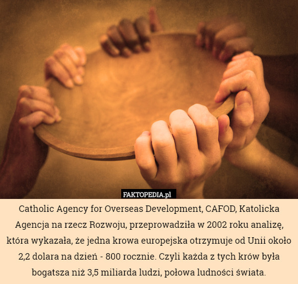 Catholic Agency for Overseas Development, CAFOD, Katolicka Agencja na rzecz Rozwoju, przeprowadziła w 2002 roku analizę, która wykazała, że jedna krowa europejska otrzymuje od Unii około 2,2 dolara na dzień - 800 rocznie. Czyli każda z tych krów była bogatsza niż 3,5 miliarda ludzi, połowa ludności świata. 