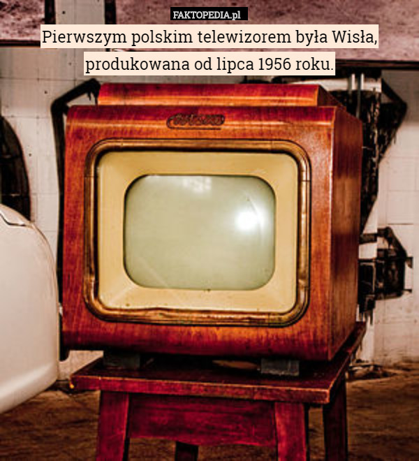 Pierwszym polskim telewizorem była Wisła, produkowana od lipca 1956 roku. 