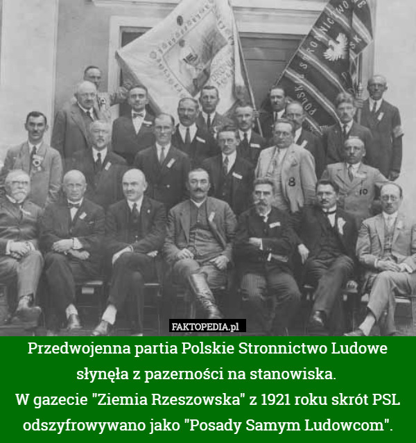 Przedwojenna partia Polskie Stronnictwo Ludowe słynęła z pazerności na stanowiska. 
W gazecie "Ziemia Rzeszowska" z 1921 roku skrót PSL odszyfrowywano jako "Posady Samym Ludowcom". 