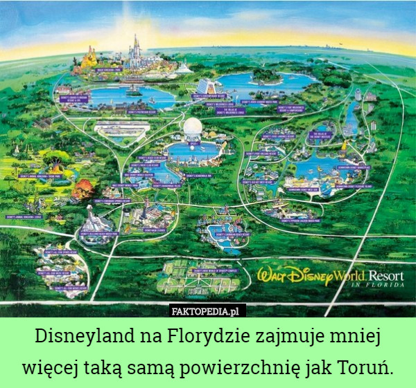 Disneyland na Florydzie zajmuje mniej więcej taką samą powierzchnię jak Toruń. 