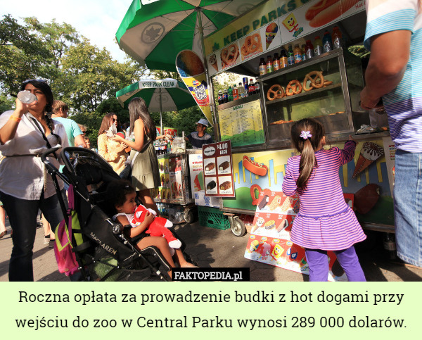 Roczna opłata za prowadzenie budki z hot dogami przy wejściu do zoo w Central Parku wynosi 289 000 dolarów. 