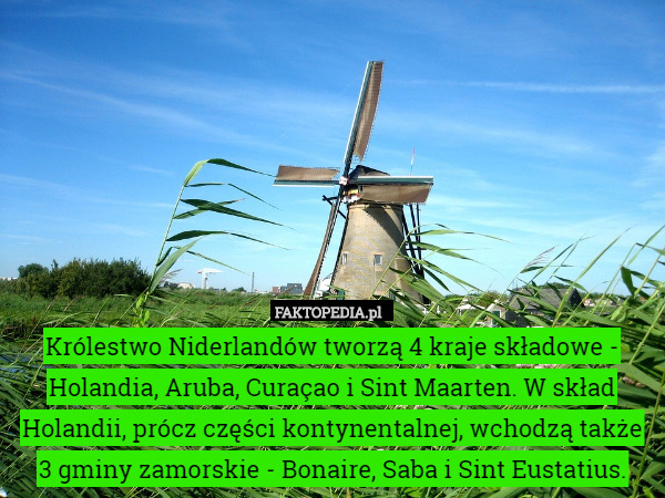 Królestwo Niderlandów tworzą 4 kraje składowe - Holandia, Aruba, Curaçao i Sint Maarten. W skład Holandii, prócz części kontynentalnej, wchodzą także 3 gminy zamorskie - Bonaire, Saba i Sint Eustatius. 