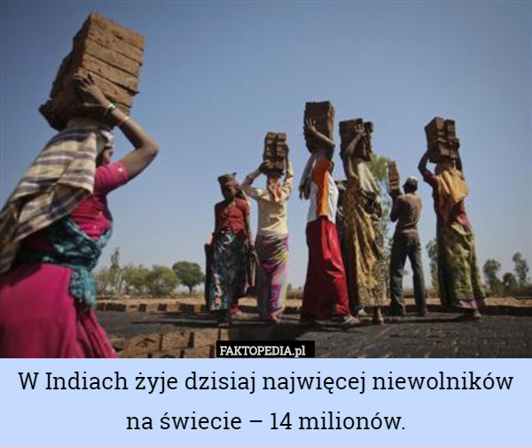 W Indiach żyje dzisiaj najwięcej niewolników na świecie – 14 milionów. 