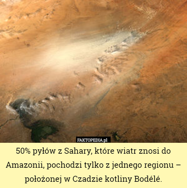 50% pyłów z Sahary, które wiatr znosi do Amazonii, pochodzi tylko z jednego regionu – położonej w Czadzie kotliny Bodélé. 