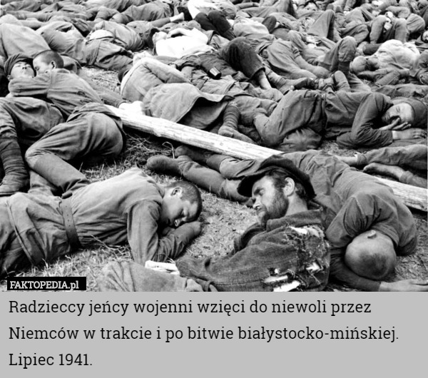 Radzieccy jeńcy wojenni wzięci do niewoli przez Niemców w trakcie i po bitwie białystocko-mińskiej. Lipiec 1941. 
