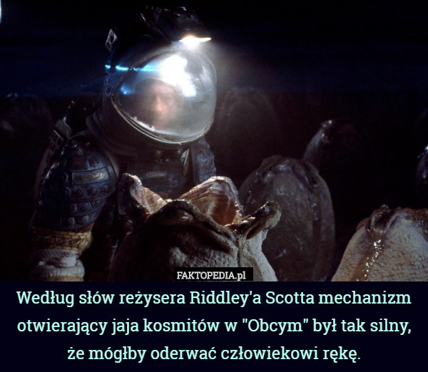 Według słów reżysera Riddley'a Scotta mechanizm otwierający jaja kosmitów w "Obcym" był tak silny, że mógłby oderwać człowiekowi rękę. 