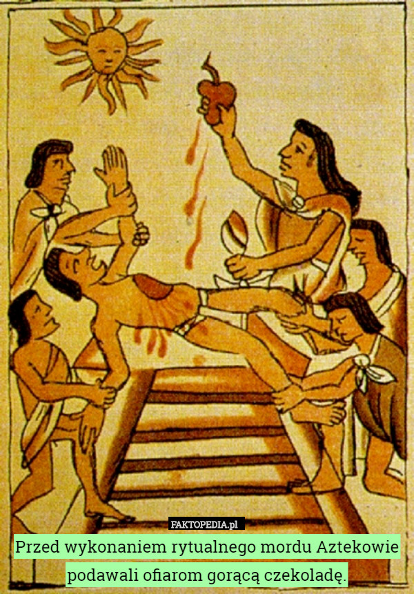 Przed wykonaniem rytualnego mordu Aztekowie podawali ofiarom gorącą czekoladę. 