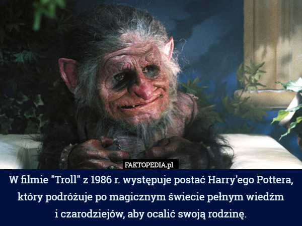 W filmie "Troll" z 1986 r. występuje postać Harry'ego Pottera, który podróżuje po magicznym świecie pełnym wiedźm
 i czarodziejów, aby ocalić swoją rodzinę. 