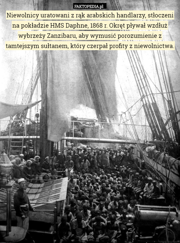 Niewolnicy uratowani z rąk arabskich handlarzy, stłoczeni na pokładzie HMS Daphne, 1868 r. Okręt pływał wzdłuż wybrzeży Zanzibaru, aby wymusić porozumienie z tamtejszym sułtanem, który czerpał profity z niewolnictwa. 