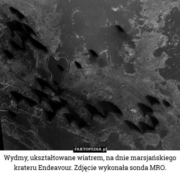 Wydmy, ukształtowane wiatrem, na dnie marsjańskiego krateru Endeavour. Zdjęcie wykonała sonda MRO. 