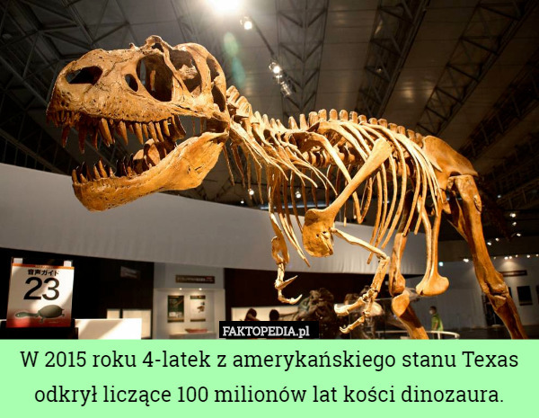 W 2015 roku 4-latek z amerykańskiego stanu Texas odkrył liczące 100 milionów lat kości dinozaura. 