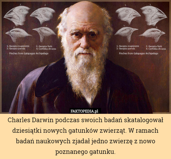 Charles Darwin podczas swoich badań skatalogował dziesiątki nowych gatunków zwierząt. W ramach badań naukowych zjadał jedno zwierzę z nowo poznanego gatunku. 