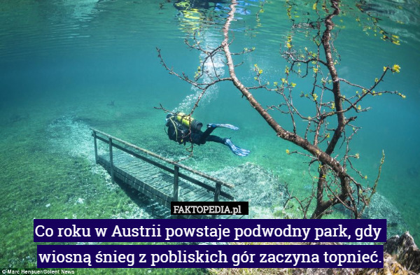 Co roku w Austrii powstaje podwodny park, gdy 
wiosną śnieg z pobliskich gór zaczyna topnieć. 