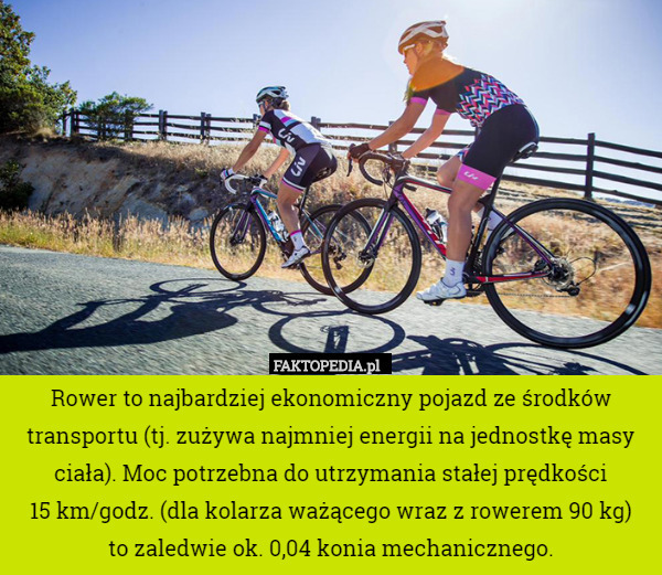 Rower to najbardziej ekonomiczny pojazd ze środków transportu (tj. zużywa najmniej energii na jednostkę masy ciała). Moc potrzebna do utrzymania stałej prędkości
 15 km/godz. (dla kolarza ważącego wraz z rowerem 90 kg)
 to zaledwie ok. 0,04 konia mechanicznego. 