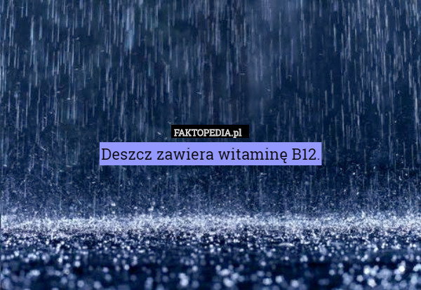 Deszcz zawiera witaminę B12. 