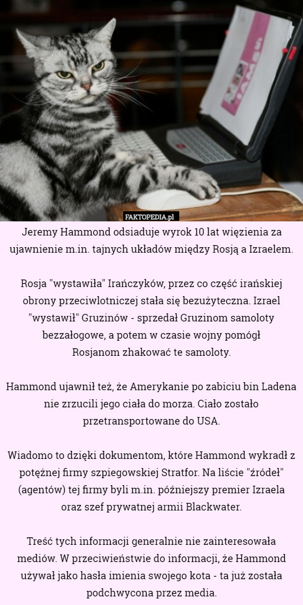 Jeremy Hammond odsiaduje wyrok 10 lat więzienia za ujawnienie m.in. tajnych układów między Rosją a Izraelem.

Rosja "wystawiła" Irańczyków, przez co część irańskiej obrony przeciwlotniczej stała się bezużyteczna. Izrael "wystawił" Gruzinów - sprzedał Gruzinom samoloty bezzałogowe, a potem w czasie wojny pomógł
 Rosjanom zhakować te samoloty.

Hammond ujawnił też, że Amerykanie po zabiciu bin Ladena nie zrzucili jego ciała do morza. Ciało zostało przetransportowane do USA.

Wiadomo to dzięki dokumentom, które Hammond wykradł z potężnej firmy szpiegowskiej Stratfor. Na liście "źródeł" (agentów) tej firmy byli m.in. późniejszy premier Izraela
 oraz szef prywatnej armii Blackwater.

Treść tych informacji generalnie nie zainteresowała mediów. W przeciwieństwie do informacji, że Hammond używał jako hasła imienia swojego kota - ta już została podchwycona przez media. 