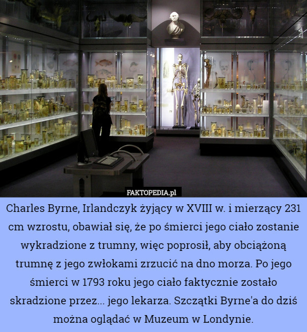 Charles Byrne, Irlandczyk żyjący w XVIII w. i mierzący 231 cm wzrostu, obawiał się, że po śmierci jego ciało zostanie wykradzione z trumny, więc poprosił, aby obciążoną trumnę z jego zwłokami zrzucić na dno morza. Po jego śmierci w 1793 roku jego ciało faktycznie zostało skradzione przez... jego lekarza. Szczątki Byrne'a do dziś można oglądać w Muzeum w Londynie. 
