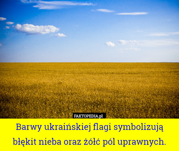Barwy ukraińskiej flagi symbolizują błękit nieba oraz żółć pól uprawnych. 
