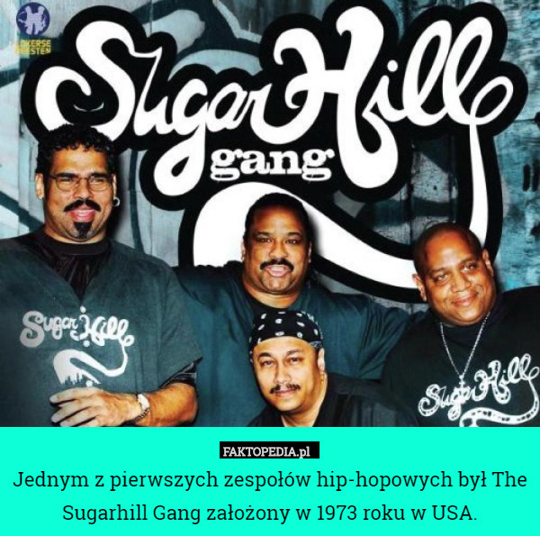 Jednym z pierwszych zespołów hip-hopowych był The Sugarhill Gang założony w 1973 roku w USA. 