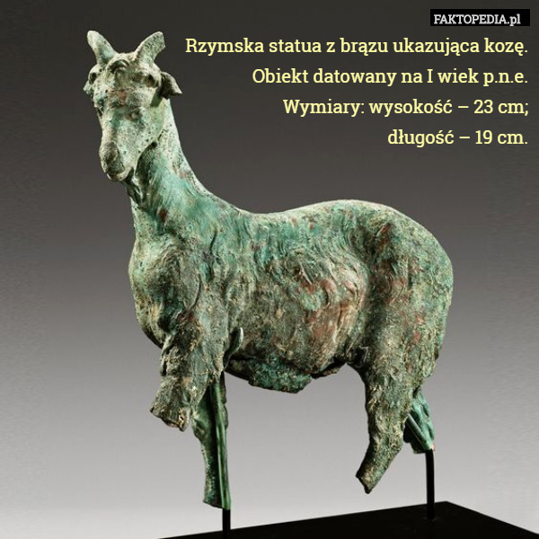 Rzymska statua z brązu ukazująca kozę.
 Obiekt datowany na I wiek p.n.e.
 Wymiary: wysokość – 23 cm;
 długość – 19 cm. 