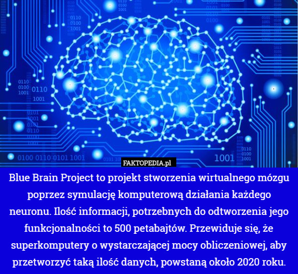 Blue Brain Project to projekt stworzenia wirtualnego mózgu poprzez symulację komputerową działania każdego neuronu. Ilość informacji, potrzebnych do odtworzenia jego funkcjonalności to 500 petabajtów. Przewiduje się, że superkomputery o wystarczającej mocy obliczeniowej, aby przetworzyć taką ilość danych, powstaną około 2020 roku. 