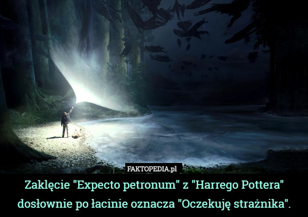 Zaklęcie "Expecto petronum" z "Harrego Pottera" dosłownie po łacinie oznacza "Oczekuję strażnika". 
