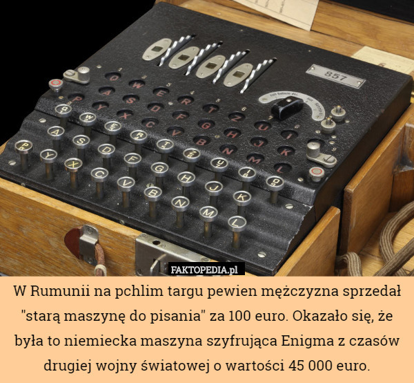 W Rumunii na pchlim targu pewien mężczyzna sprzedał "starą maszynę do pisania" za 100 euro. Okazało się, że była to niemiecka maszyna szyfrująca Enigma z czasów drugiej wojny światowej o wartości 45 000 euro. 