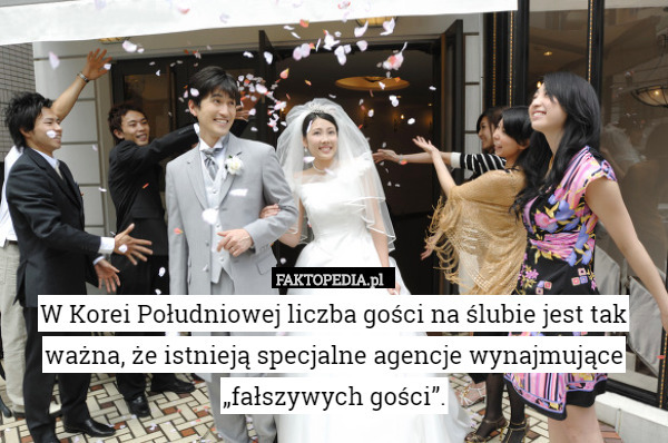 W Korei Południowej liczba gości na ślubie jest tak ważna, że istnieją specjalne agencje wynajmujące „fałszywych gości”. 