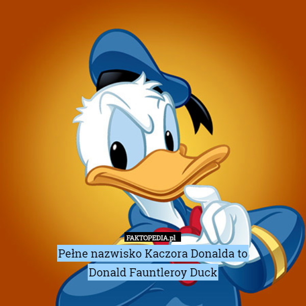 Pełne nazwisko Kaczora Donalda to
Donald Fauntleroy Duck 
